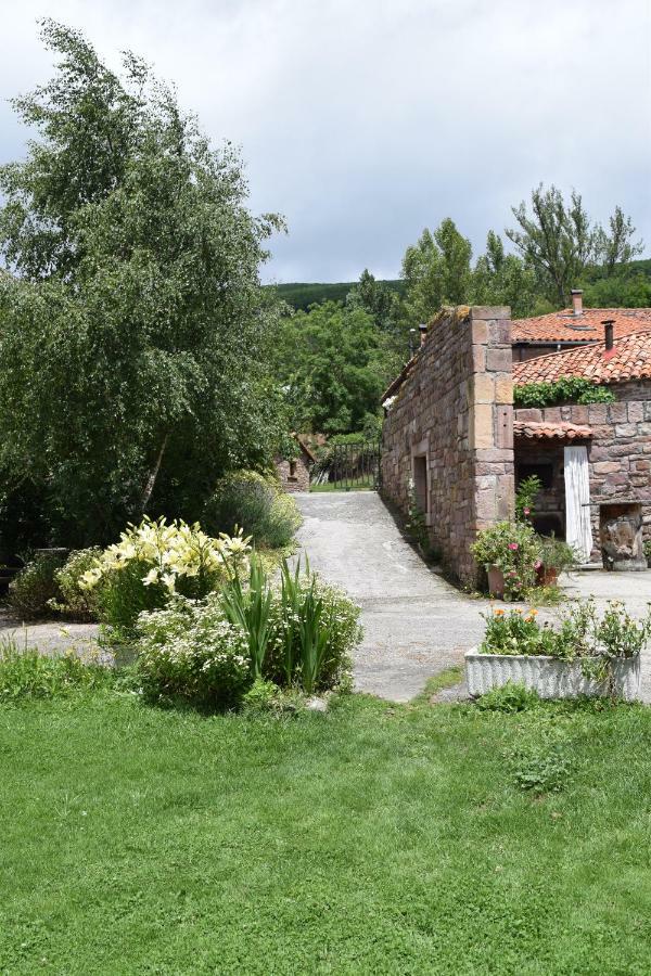 Ferienwohnung Casa Miguel Olea Exterior foto